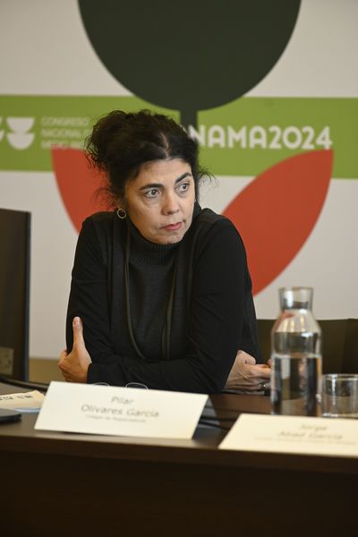 Pilar Olivares García